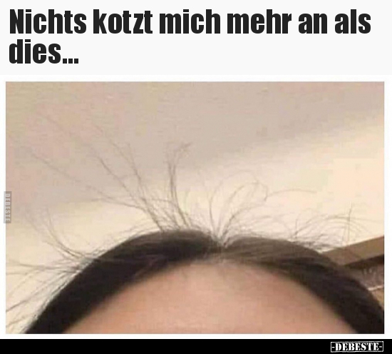 Nichts kotzt mich mehr an als dies... - Lustige Bilder | DEBESTE.de