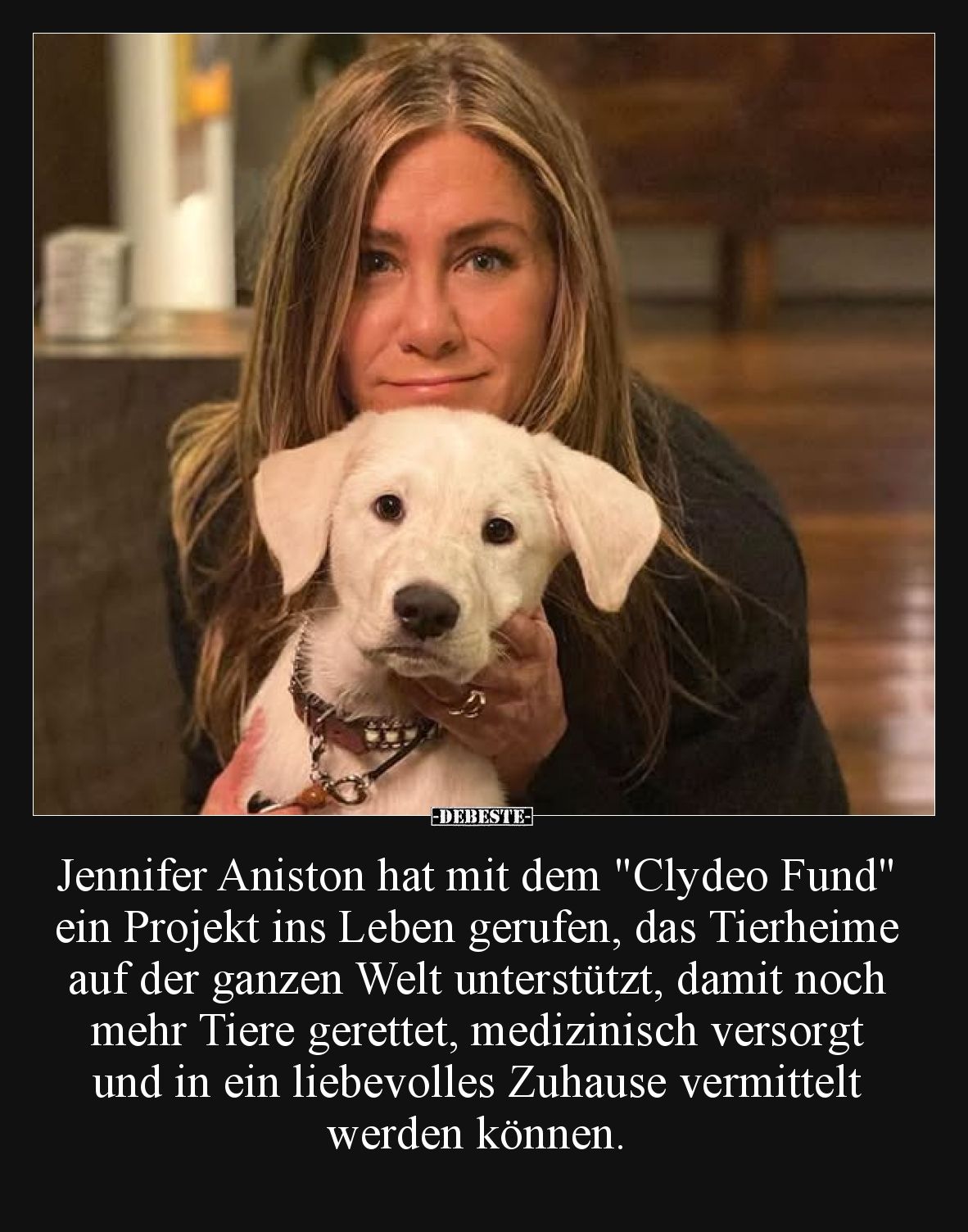 Jennifer Aniston hat mit dem "Clydeo Fund" ein Projekt ins Leben gerufen, das Tierheime auf der ganzen Welt unterst...
