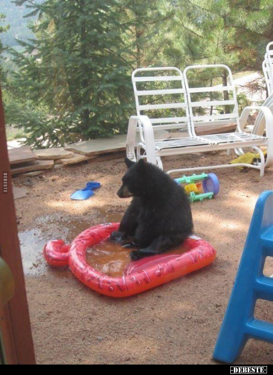  - Lustige Bilder | DEBESTE.de