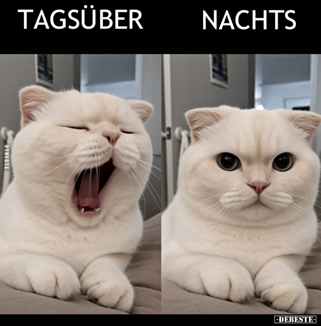 Tagsüber vs
Nachts.