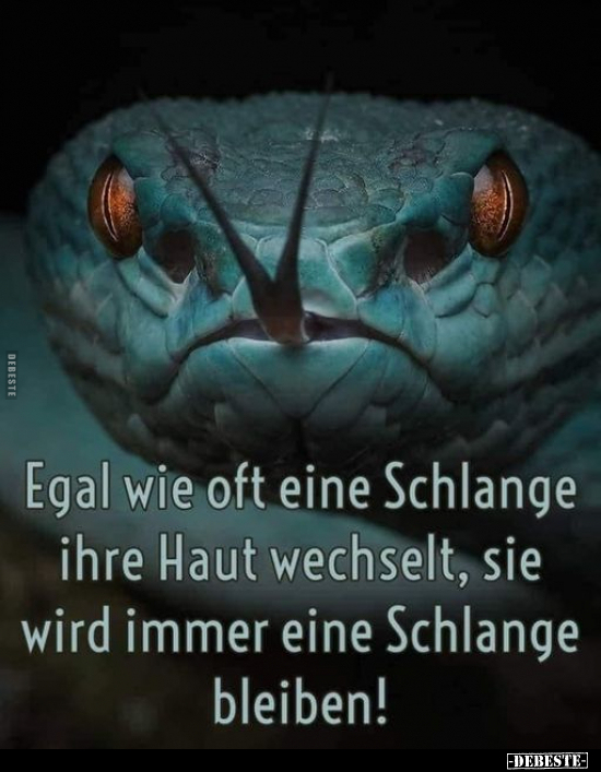 Egal wie oft eine Schlange ihre Haut wechselt, sie wird.. - Lustige Bilder | DEBESTE.de