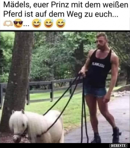 Mädels, euer Prinz mit dem weißen Pferd ist auf dem Weg zu.. - Lustige Bilder | DEBESTE.de