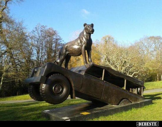  - Lustige Bilder | DEBESTE.de