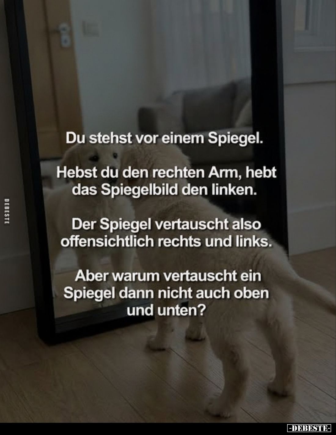 Du stehst vor einem Spiegel.
Hebst du den rechten Arm, hebt das Spiegelbild den linken.
Der Spiegel vertauscht also offensi...