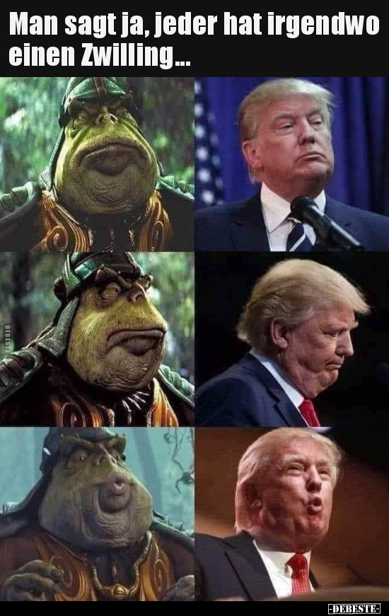 Man sagt ja, jeder hat irgendwo einen Zwilling...