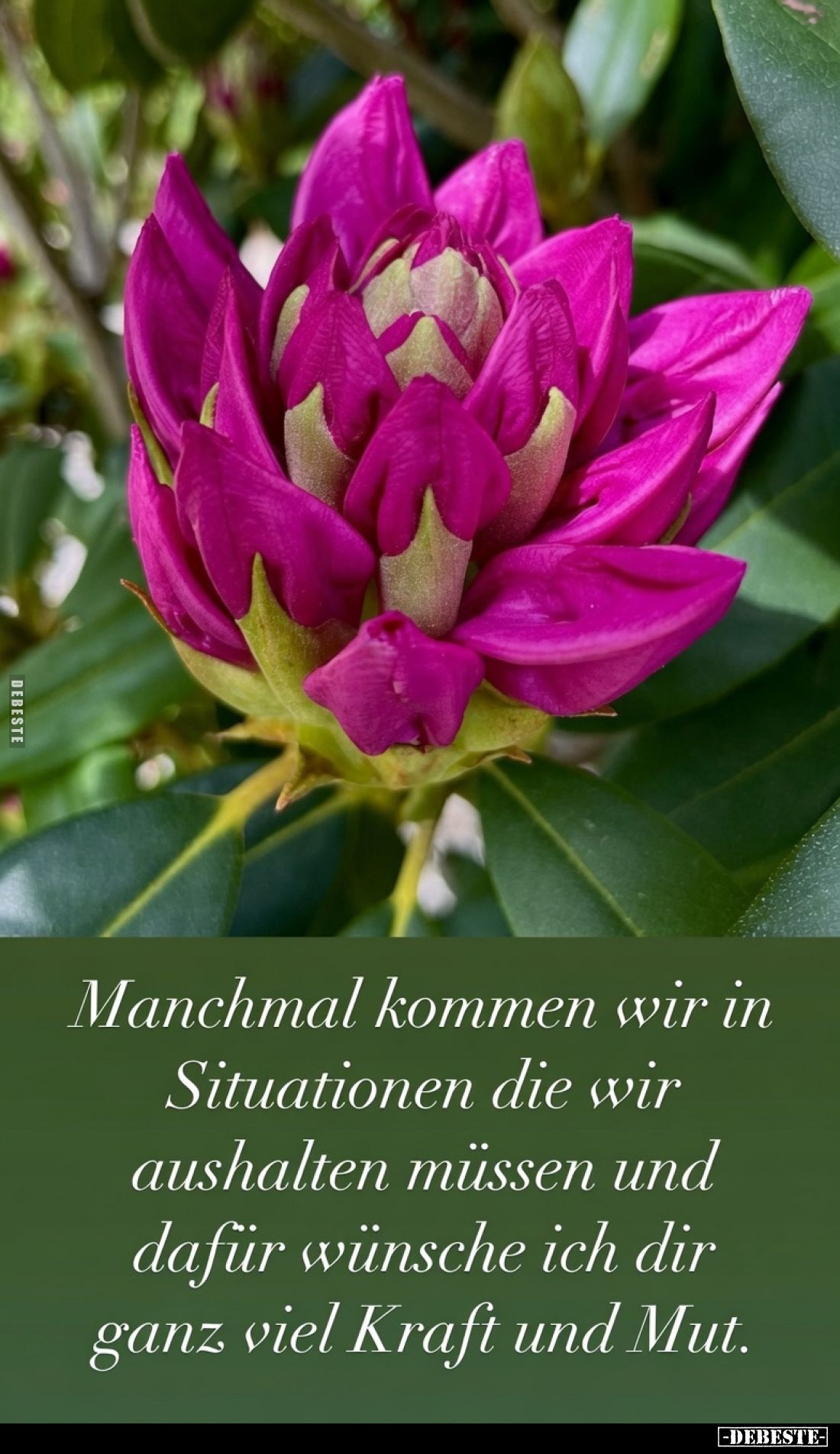 Manchmal kommen wir in Situationen die wir aushalten müssen und dafür wünsche ich dir ganz viel Kraft und Mut.