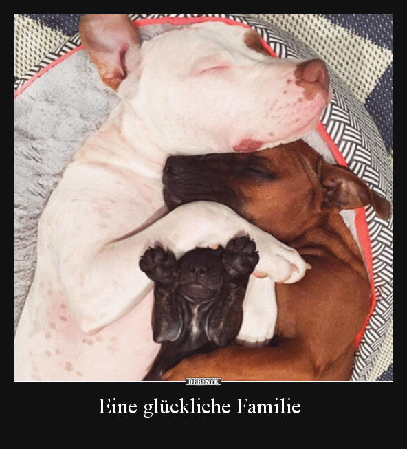 Eine glückliche Familie.. - Lustige Bilder | DEBESTE.de