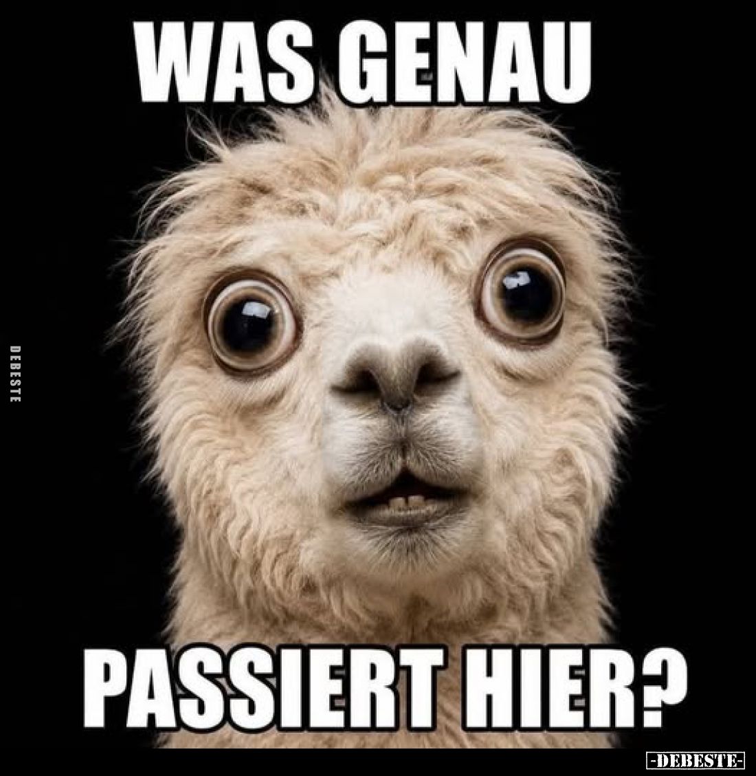 Was genau
passiert hier?