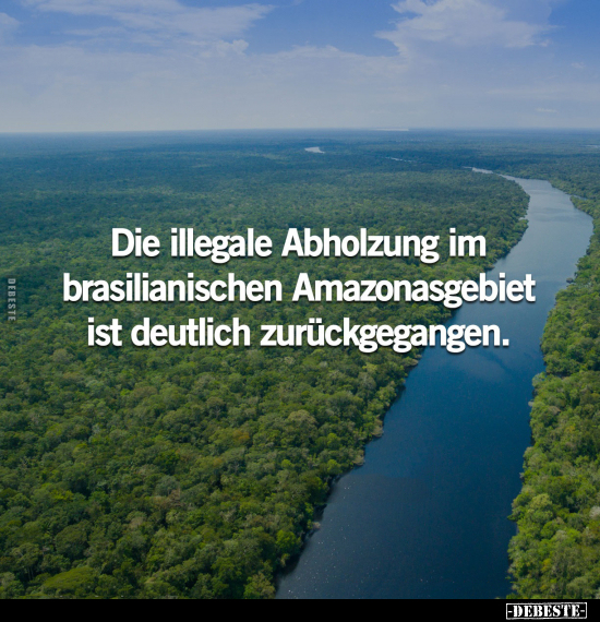 Die illegale Abholzung im brasilianischen Amazonasgebiet.. - Lustige Bilder | DEBESTE.de