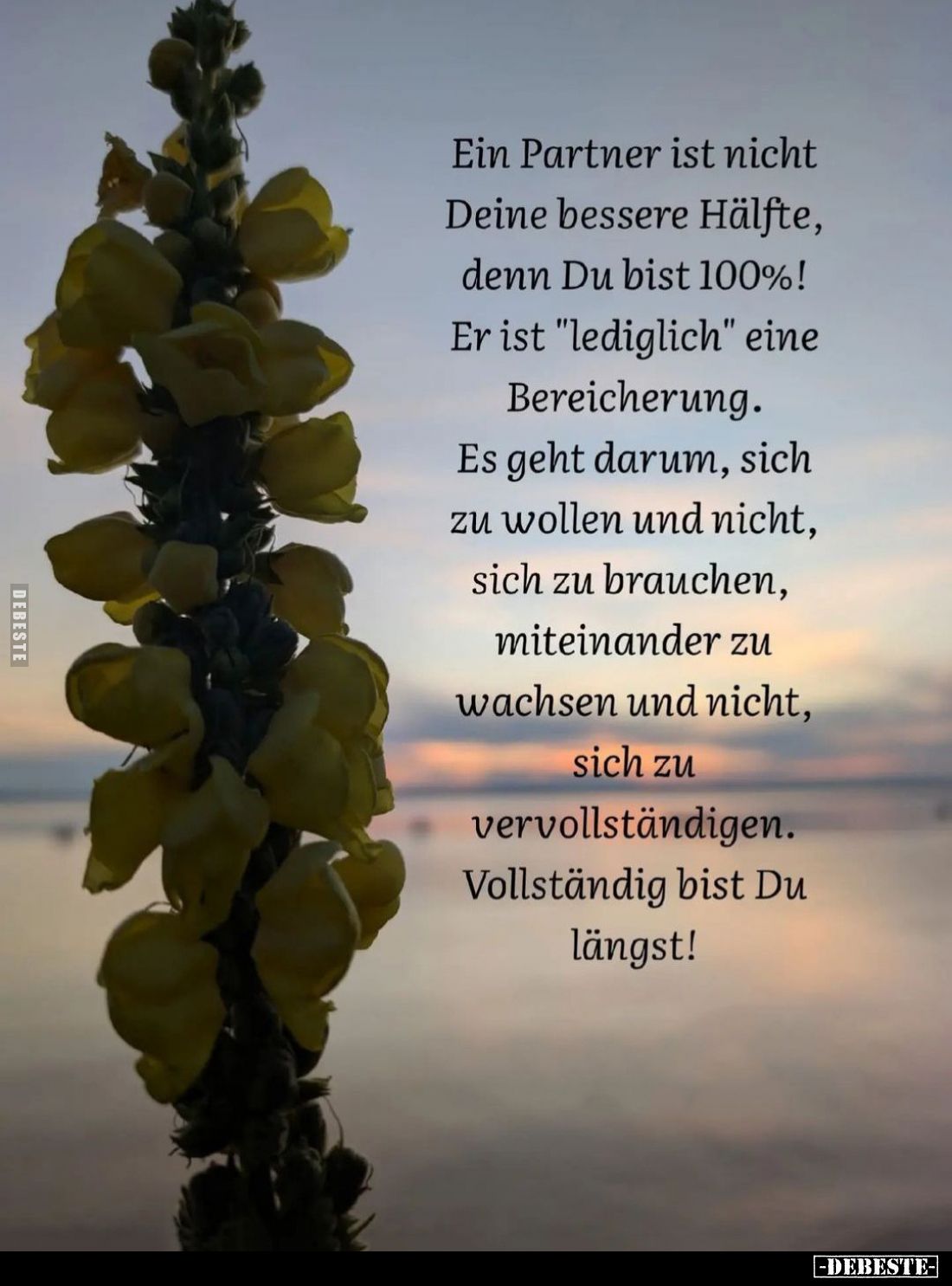 Ein Partner ist nicht Deine bessere Hälfte, denn Du bist 100%! Er ist "lediglich" eine Bereicherung.
Es geht darum...