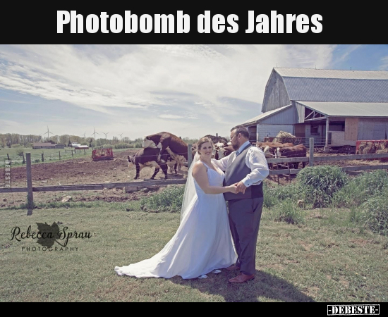 Photobomb des Jahres.. - Lustige Bilder | DEBESTE.de