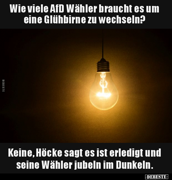 Wie viele AfD Wähler braucht es um eine Glühbirne.. - Lustige Bilder | DEBESTE.de