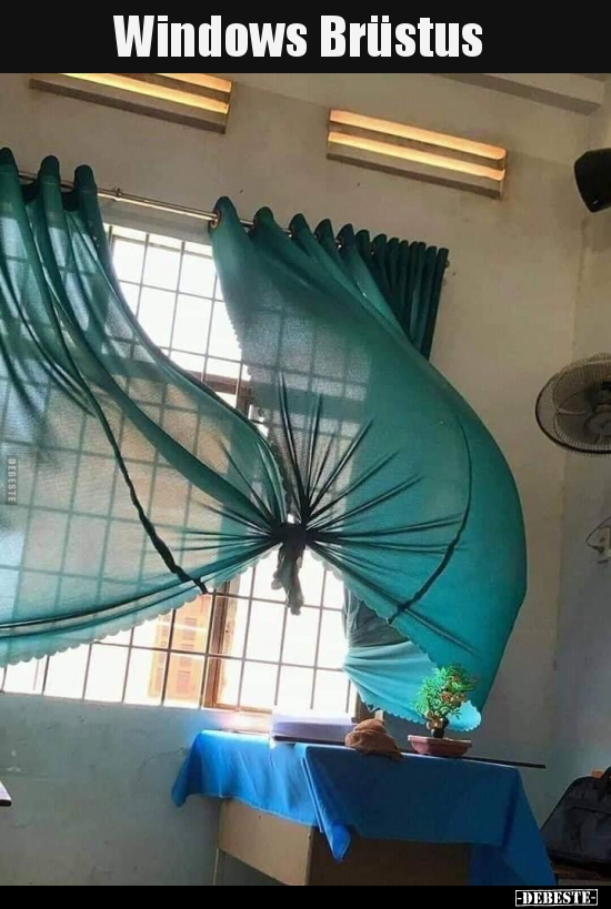 Windows Brüstus..