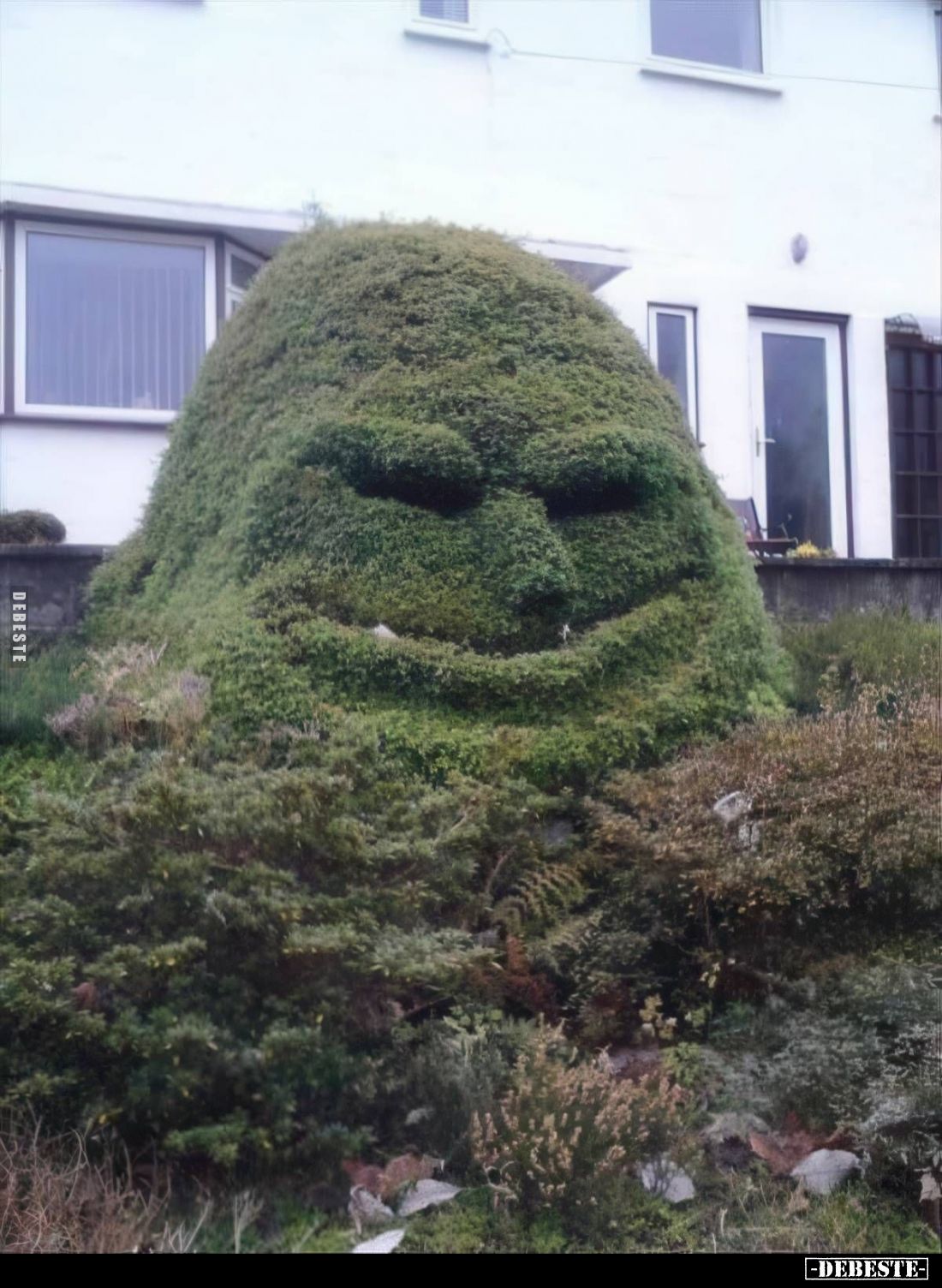 Dinge mit Gesicht