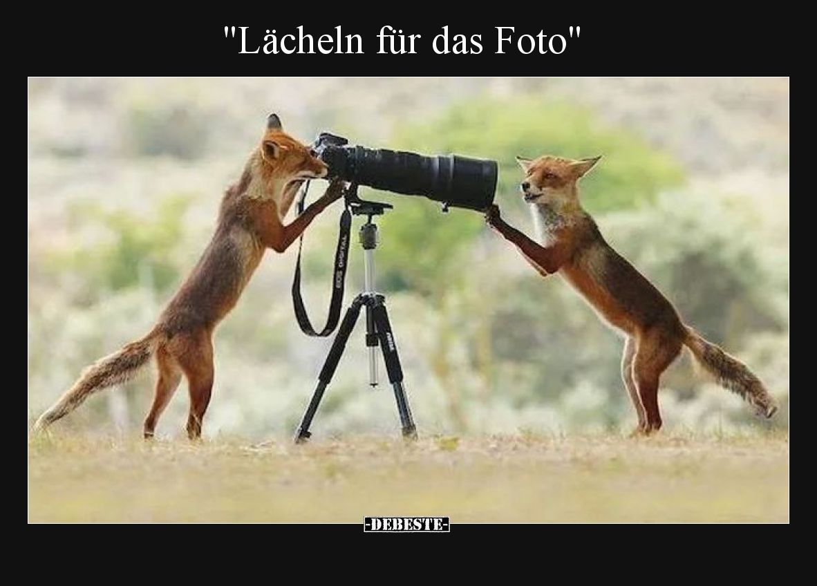 Lächeln für das Foto