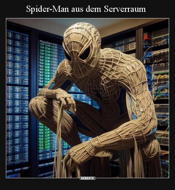 Spider-Man aus dem Serverraum.. - Lustige Bilder | DEBESTE.de