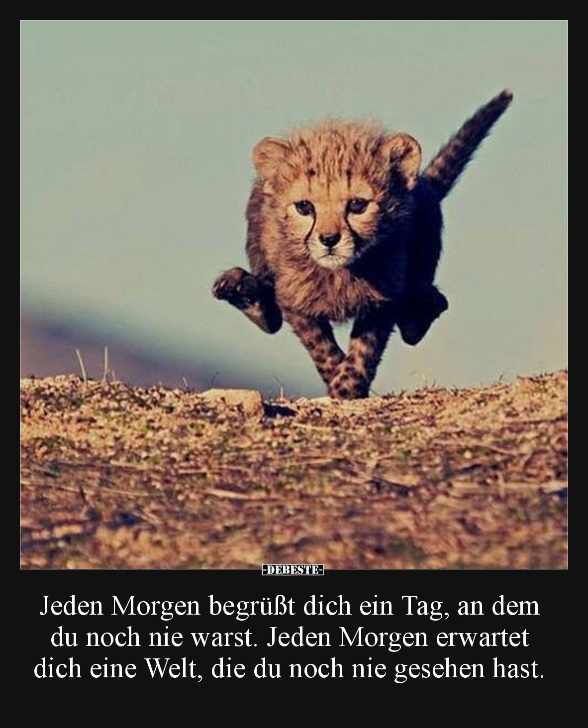 Jeden Morgen begrüßt dich ein Tag, an dem du noch nie warst. Jeden Morgen erwartet dich eine Welt, die du noch nie gesehen ha...