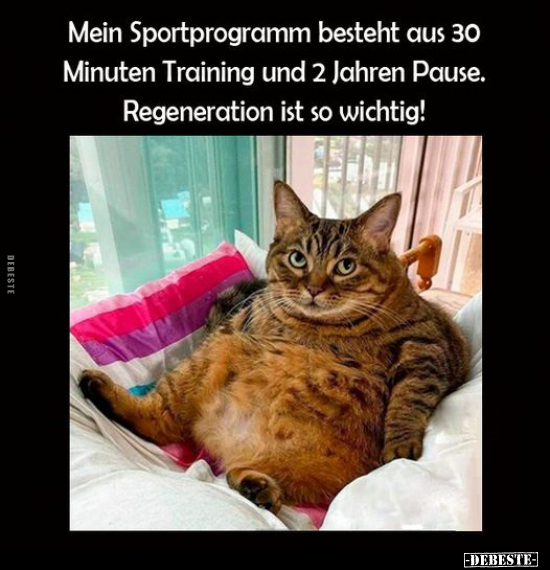 Regeneration ist so wichtig!.. - Lustige Bilder | DEBESTE.de