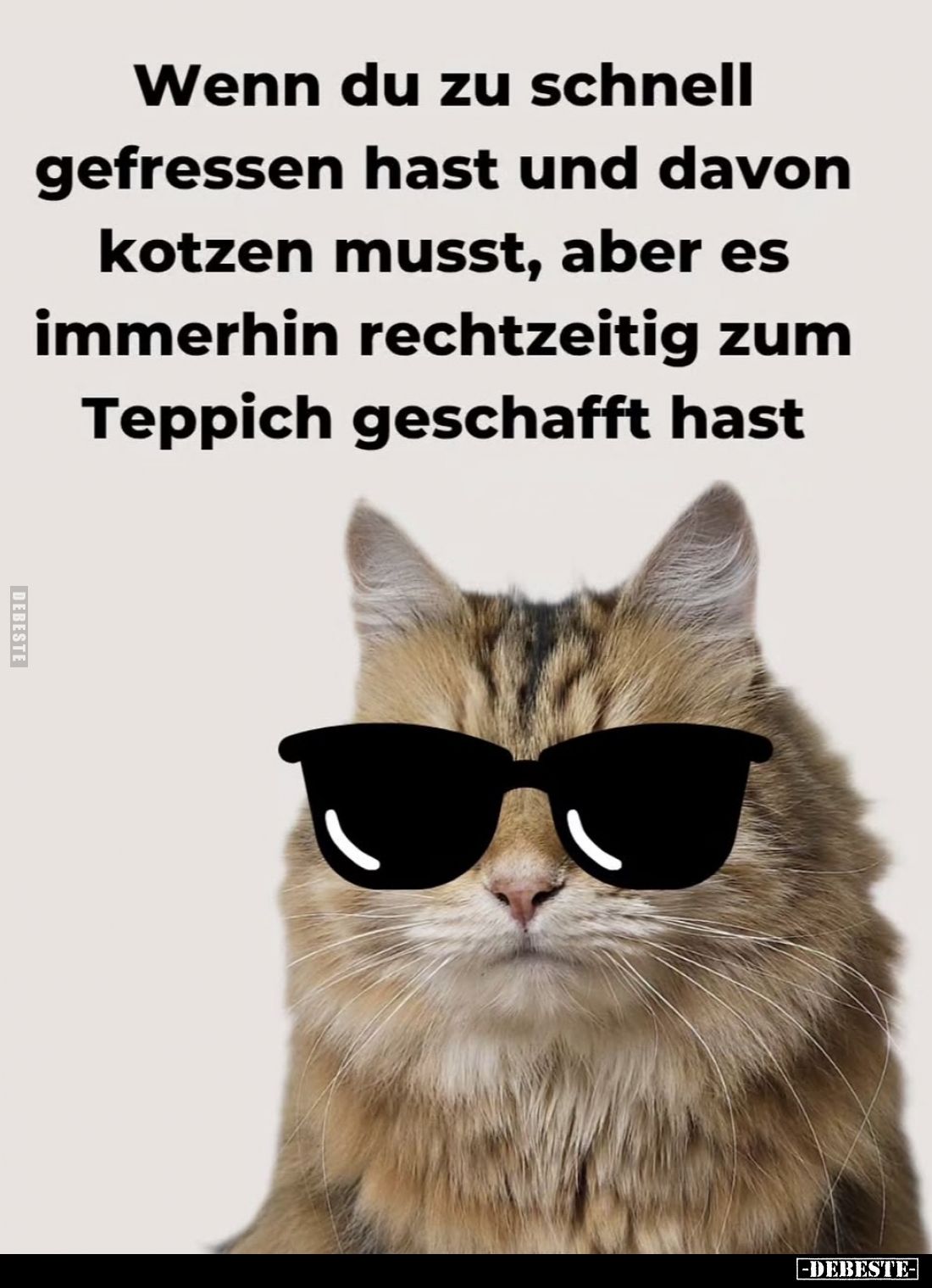 Wenn du zu schnell gefressen hast und davon kotzen.. - Lustige Bilder | DEBESTE.de