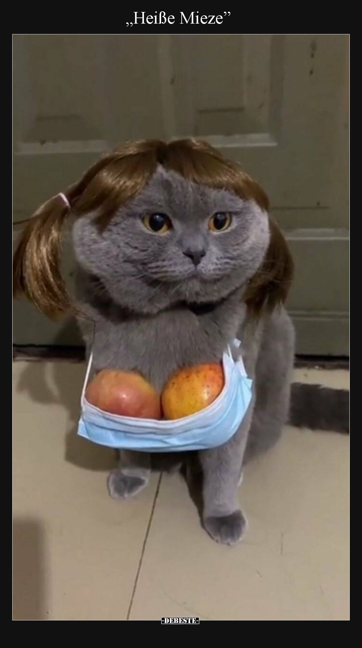 „Heiße Mieze”