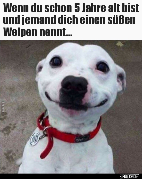 Wenn du schon 5 Jahre alt bist und jemand dich einen süßen..