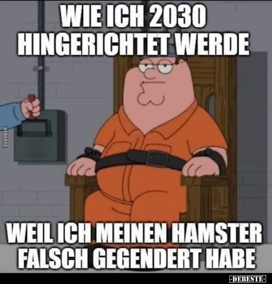 Wie ich 2030 hingerichtet werde weil ich meinen Hamster.. - Lustige Bilder | DEBESTE.de