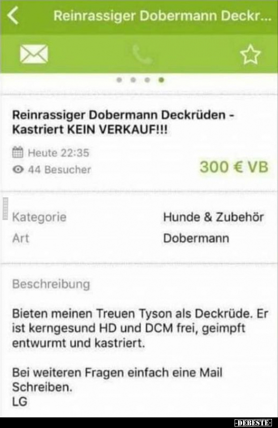 Reinrassiger Dobermann Deckrüden.. - Lustige Bilder | DEBESTE.de