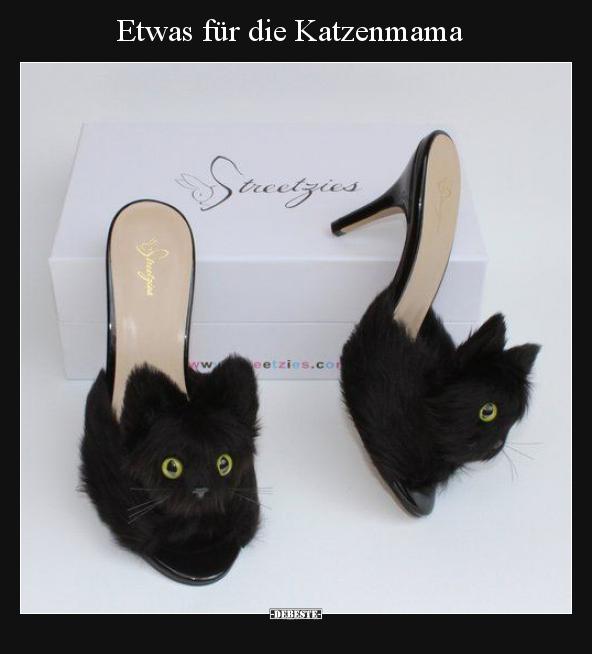 Etwas für die Katzenmama