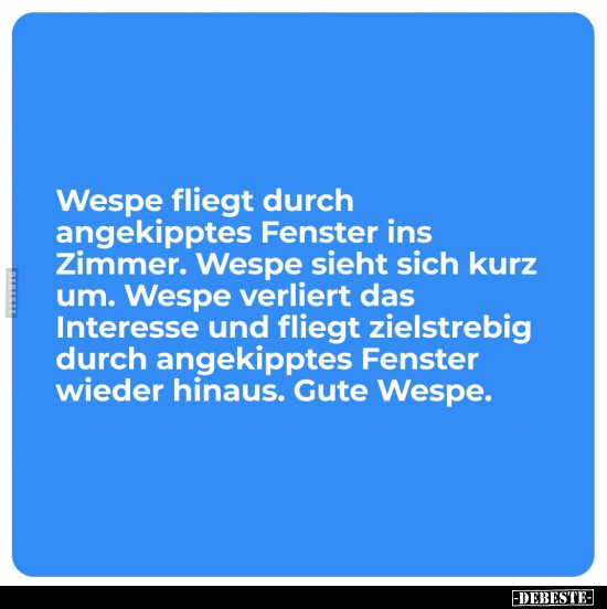 Wespe fliegt durch angekipptes Fenster ins Zimmer.. - Lustige Bilder | DEBESTE.de