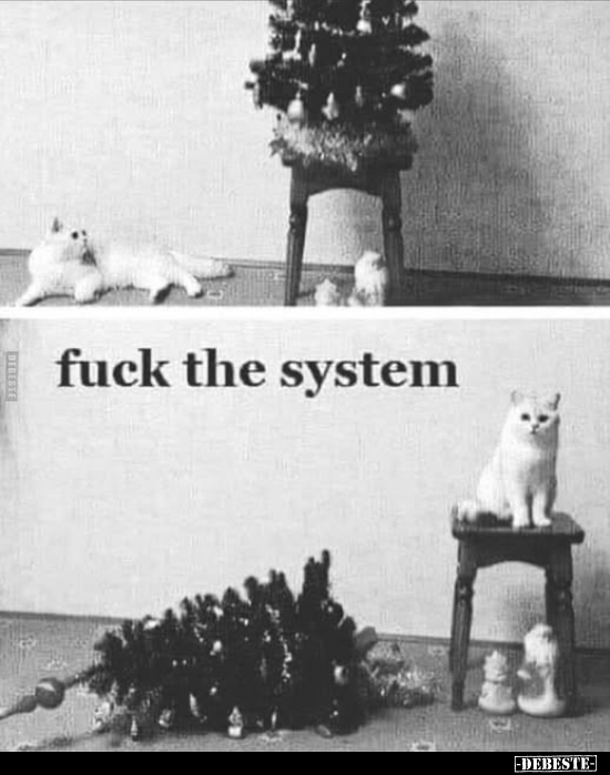 Fuck the system... - Lustige Bilder | DEBESTE.de