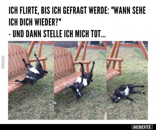 Ich flirte, bis ich gefragt werde.. - Lustige Bilder | DEBESTE.de