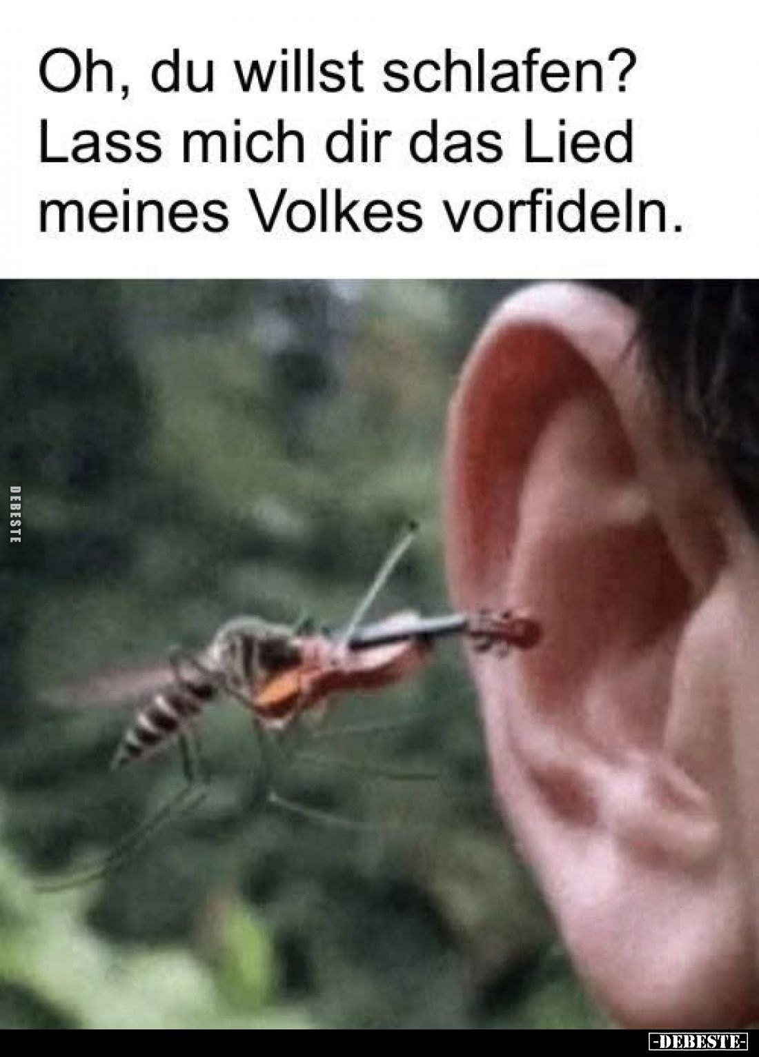 Oh, du willst schlafen? Lass mich dir das Lied meines.. - Lustige Bilder | DEBESTE.de