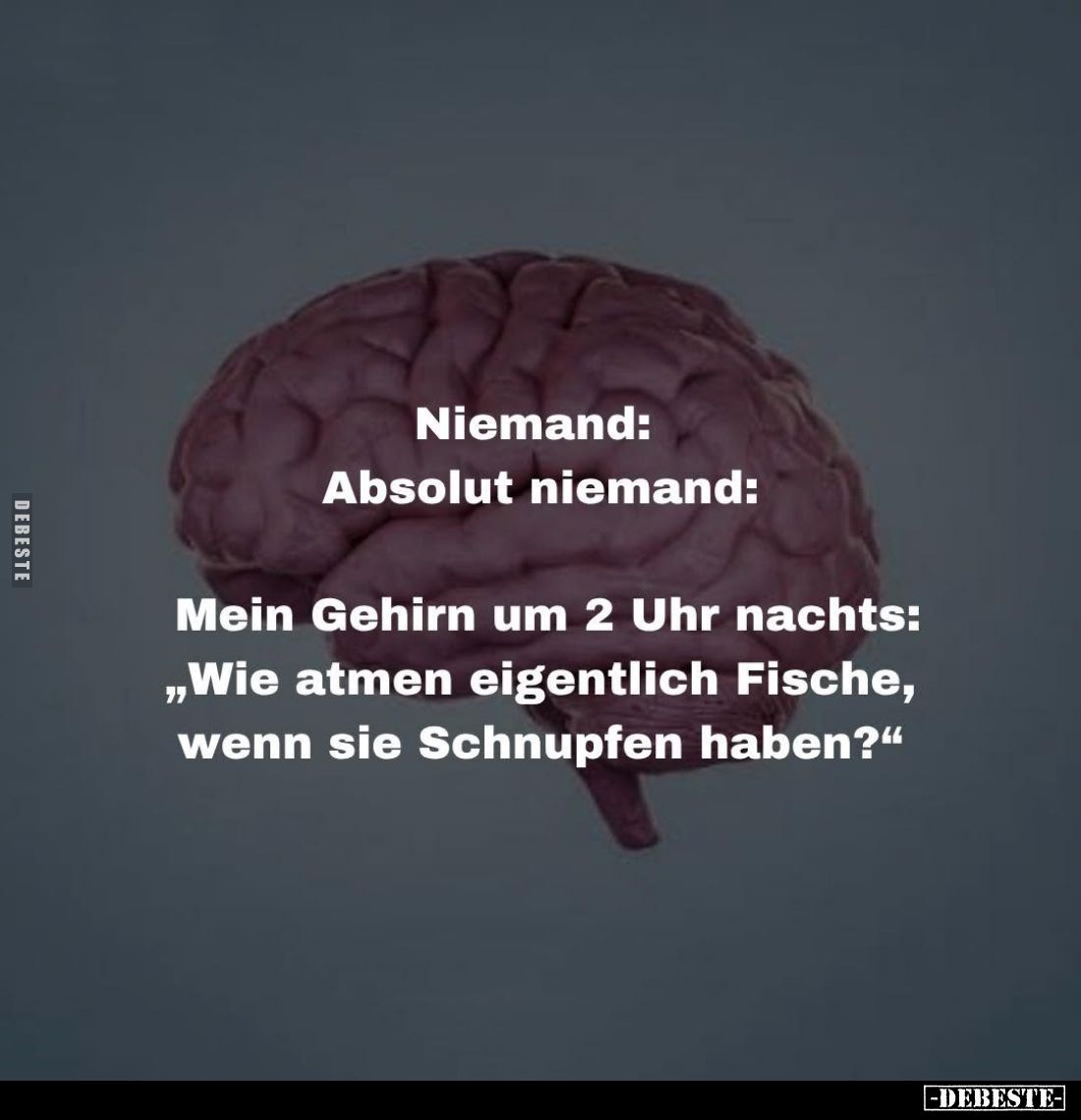 Niemand: Absolut niemand:
Mein Gehirn um 2 Uhr nachts: "Wie atmen eigentlich Fische, wenn sie Schnupfen haben?"