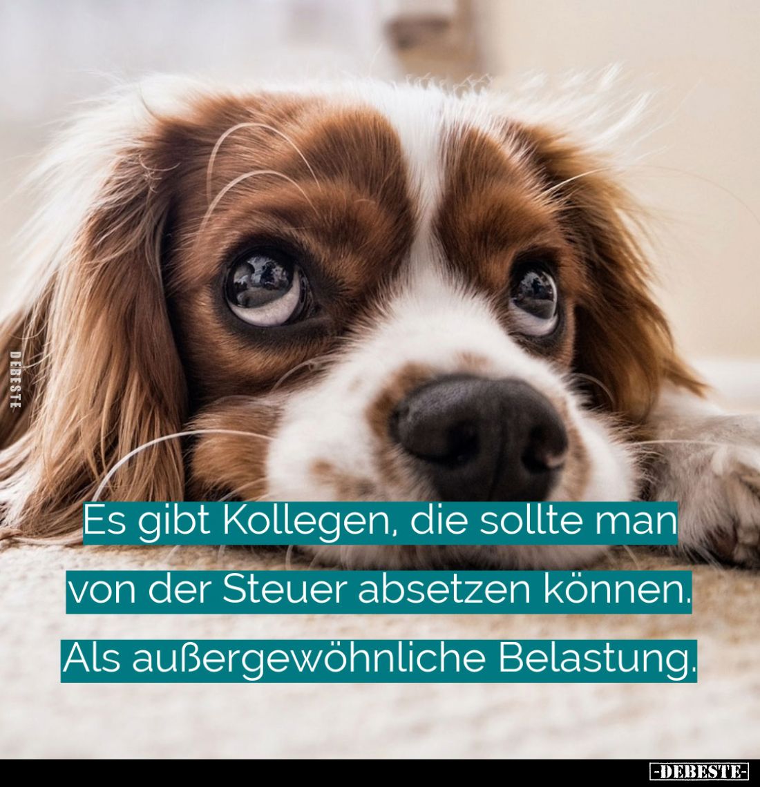 Es gibt Kollegen, die sollte man von der Steuer absetzen können. Als außergewöhnliche Belastung.
