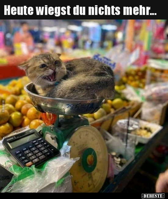 Heute wiegst du nichts mehr...