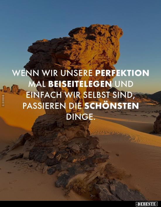 Wenn wir unsere Perfektion.. - Lustige Bilder | DEBESTE.de