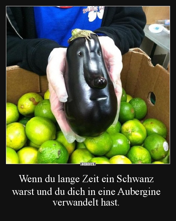 Wenn du lange Zeit ein..