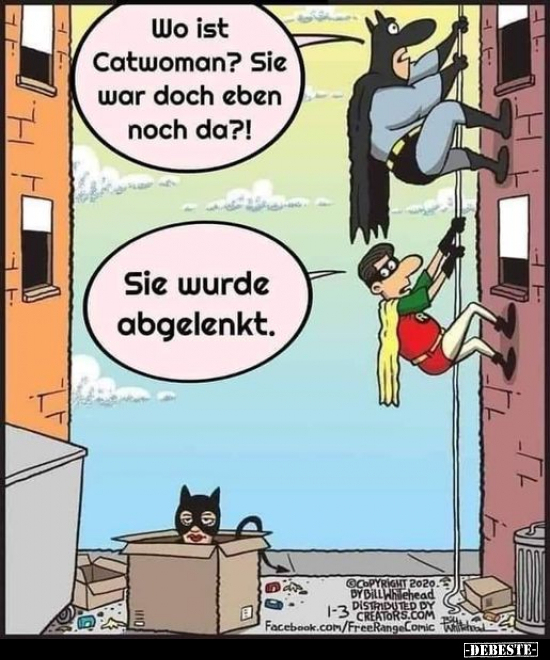Wo ist Catwoman? Sie war doch eben noch da?!.. - Lustige Bilder | DEBESTE.de