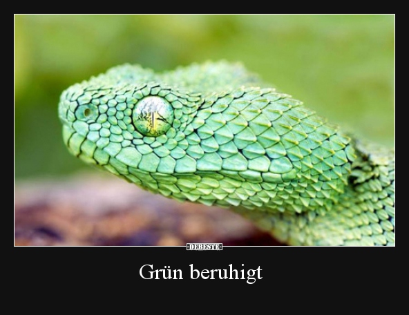 Grün beruhigt..