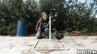 Alles und jeden kann man dressieren sagte der Hund Pawlow..