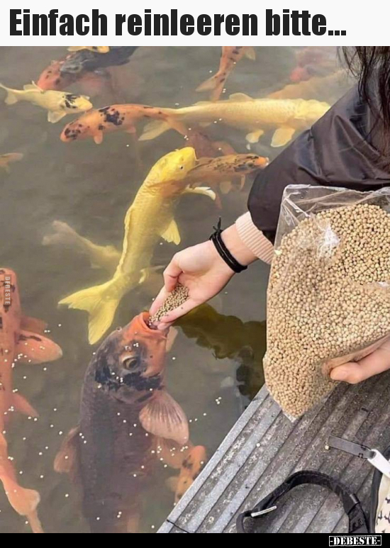 Einfach reinleeren bitte...