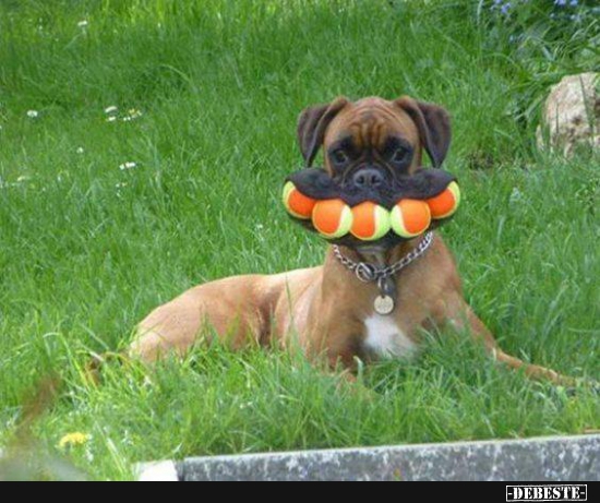 :) - Lustige Bilder | DEBESTE.de