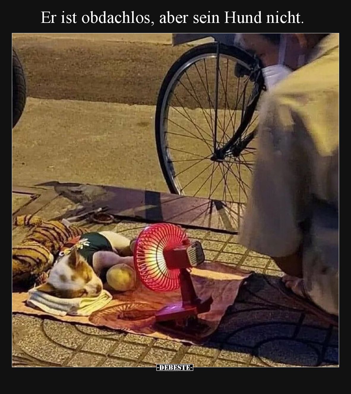 Er ist obdachlos, aber sein Hund nicht.