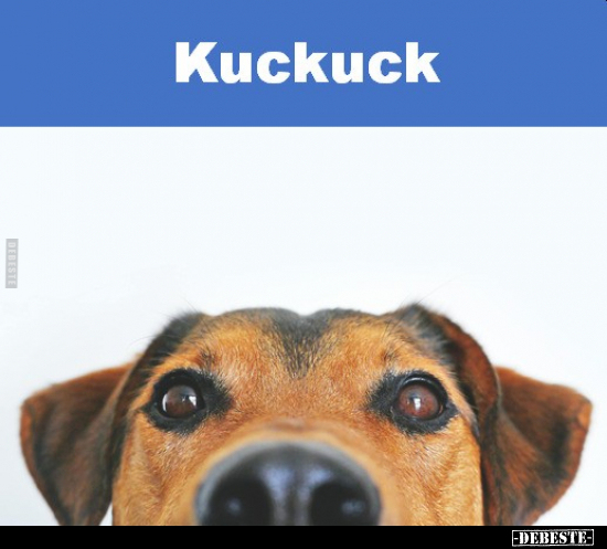 Kuckuck