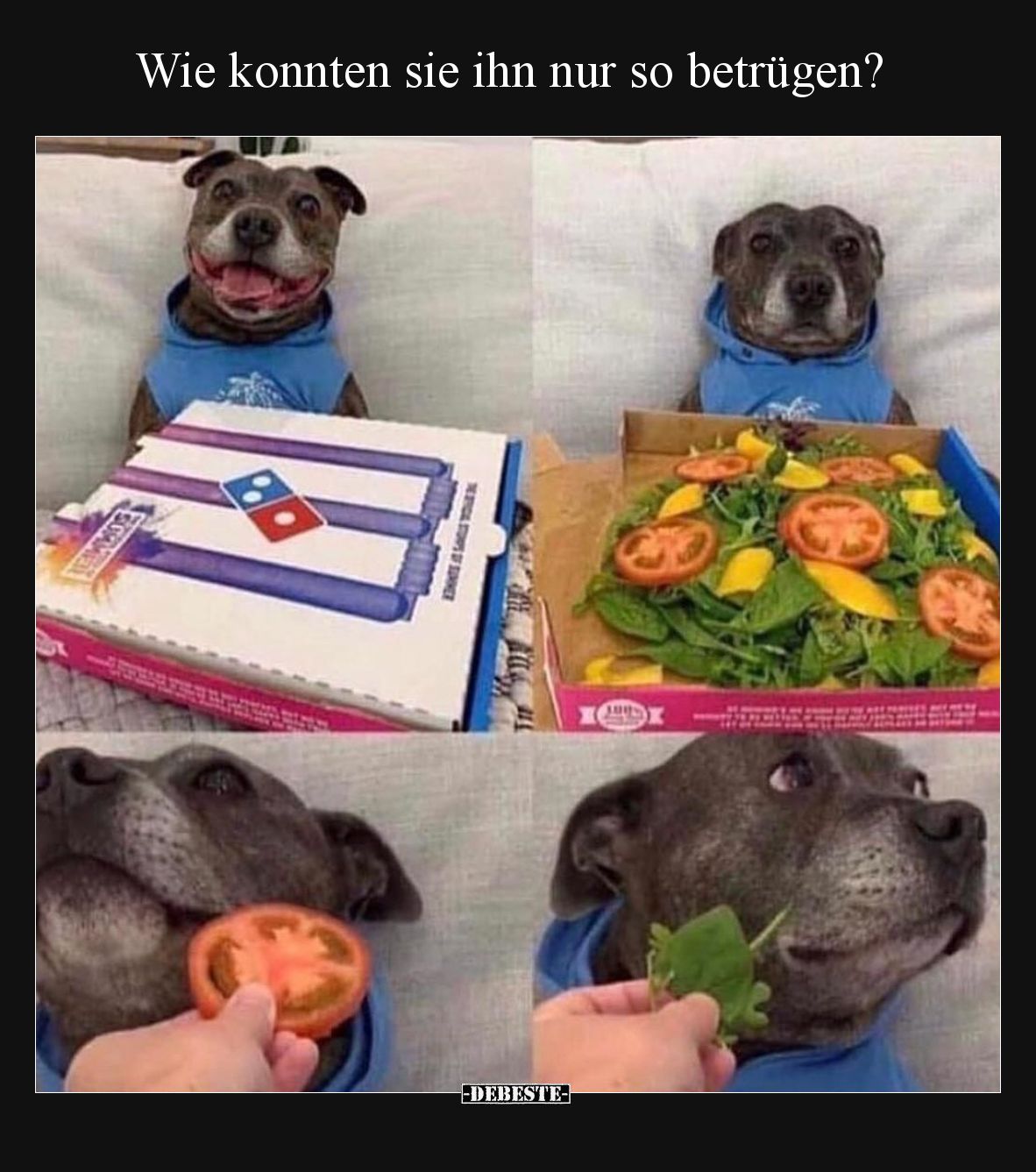 Wie konnten sie ihn nur so betrügen?