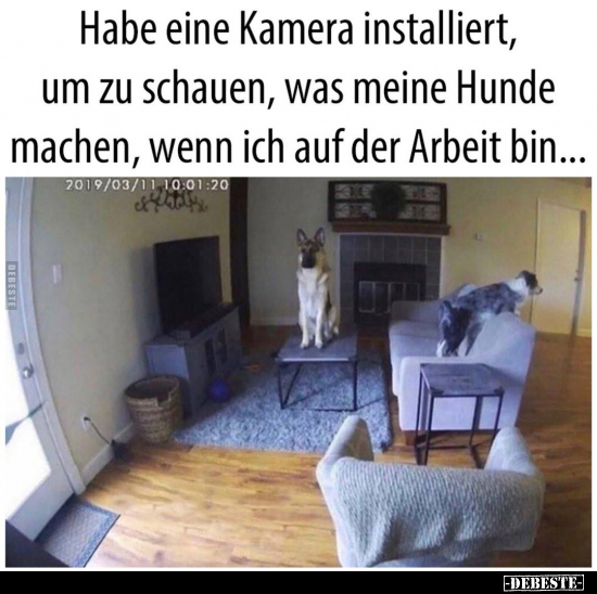 Habe eine Kamera installiert, um zu schauen, was meine.. - Lustige Bilder | DEBESTE.de