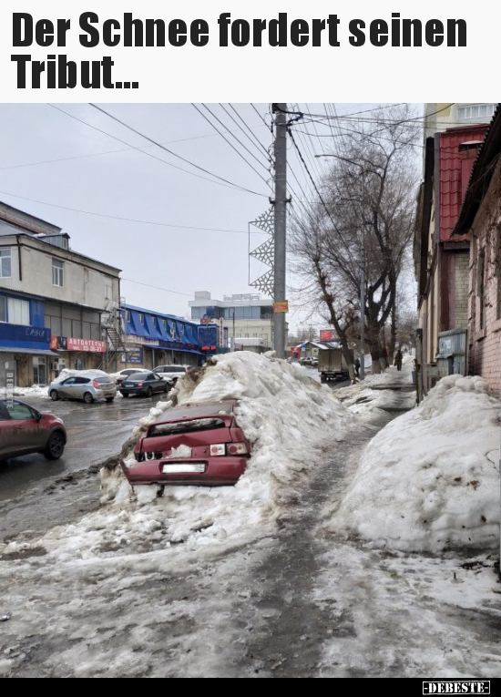 Der Schnee fordert seinen Tribut...