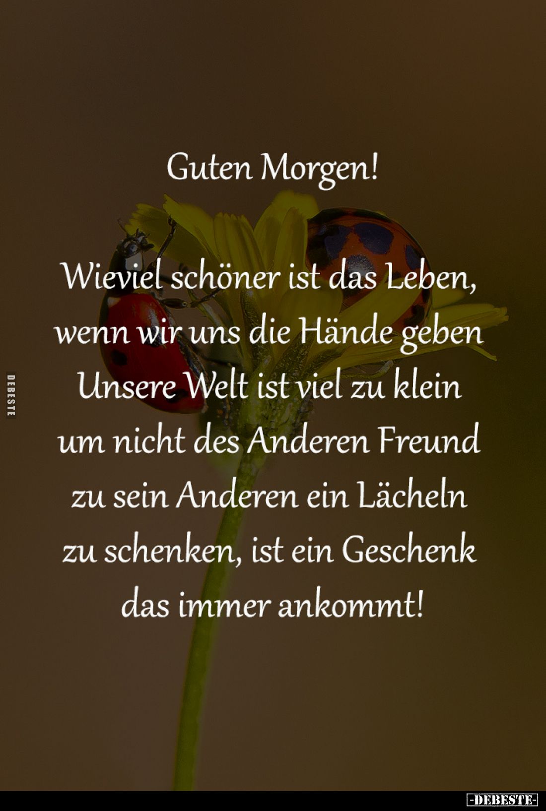 Guten Morgen!

Wieviel schöner ist das Leben, 
wenn wir uns die Hände geben 
Unsere Welt ist viel zu klein 
um nicht des...