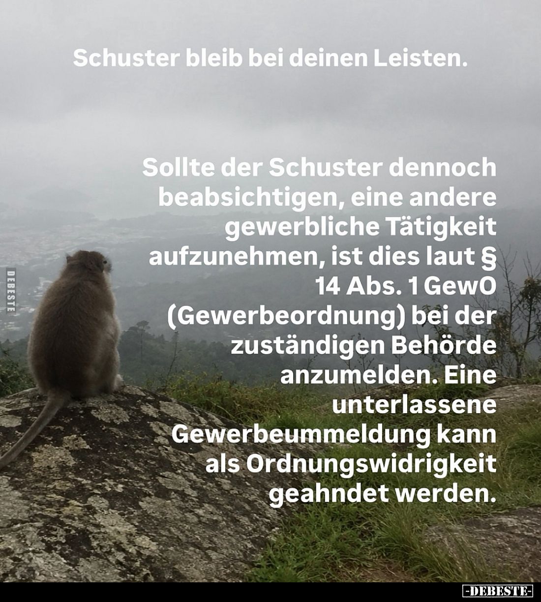 Schuster bleib bei deinen Leisten.

Sollte der Schuster dennoch beabsichtigen, eine andere gewerbliche Tätigkeit aufzunehme...