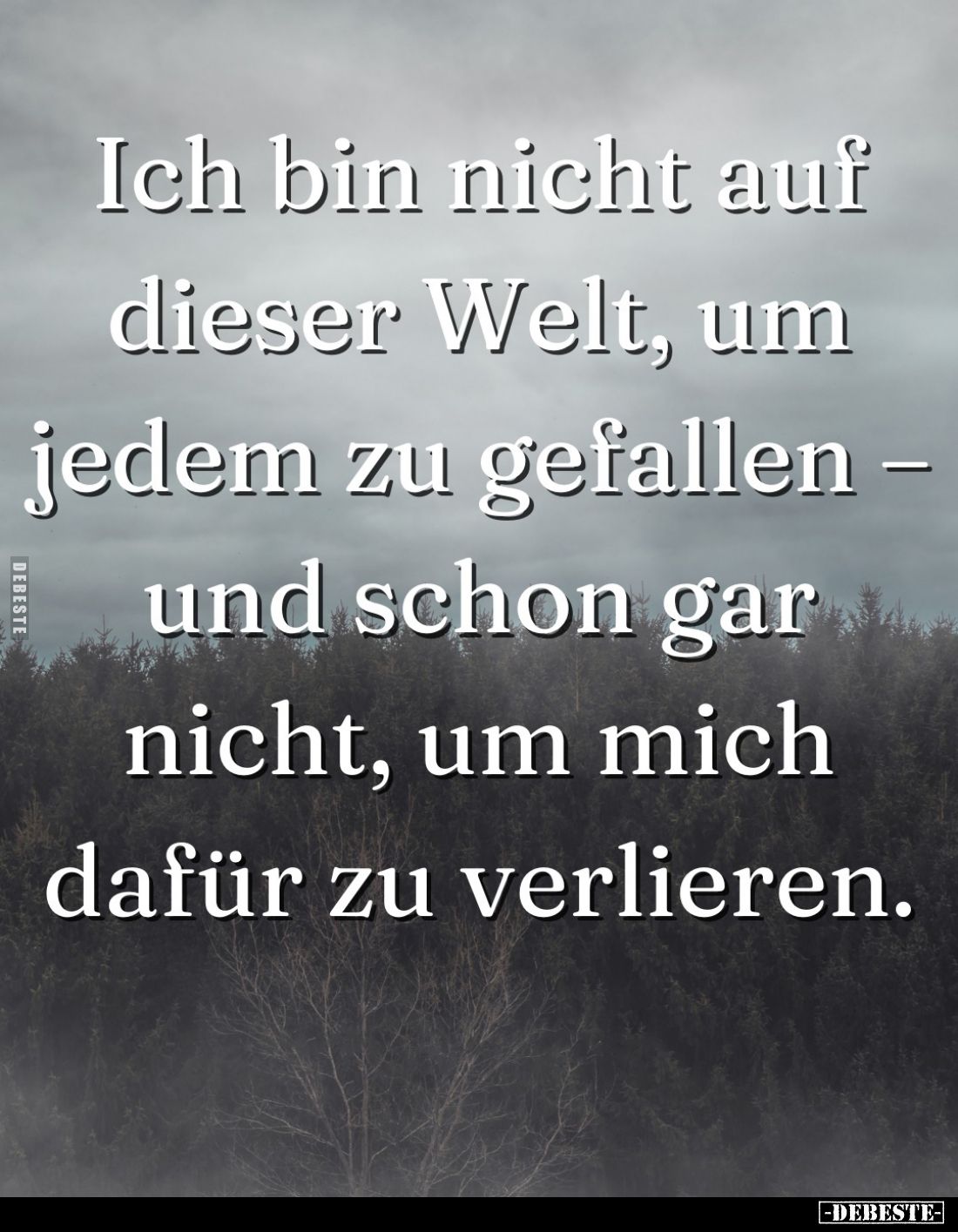 Ich bin nicht auf dieser Welt, um jedem zu gefallen - und schon gar nicht, um mich dafür zu verlieren.